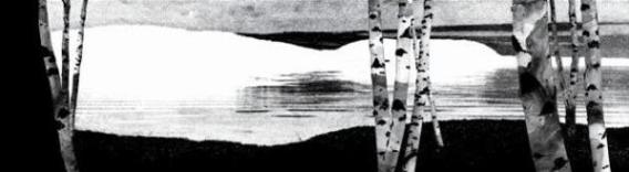 Koristekuva